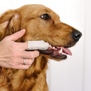 Dental Finger Wipes with Spearmint Oil for Dogs & Cats. Removes Plaque & Tartar, Care for Gums & No Rinsing Required.