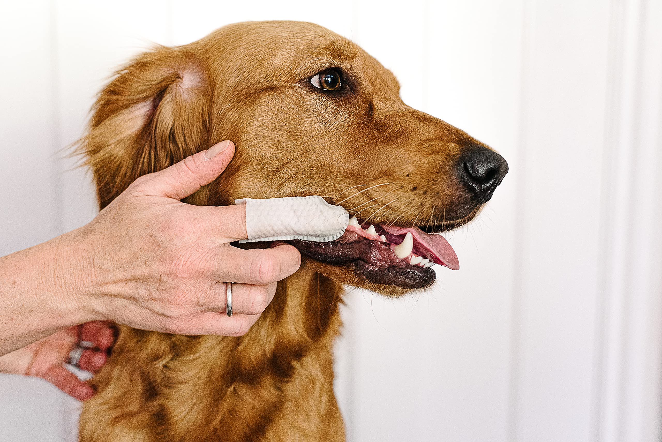 Dental Finger Wipes with Spearmint Oil for Dogs & Cats. Removes Plaque & Tartar, Care for Gums & No Rinsing Required.