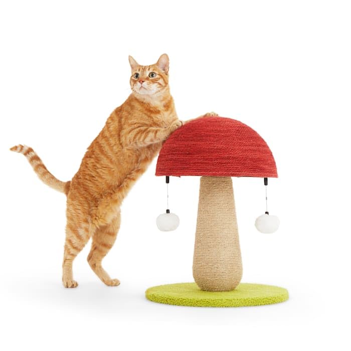 EveryYay Toadstool Scratch Post for Cats