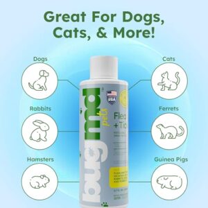 BugMD Flea and Tick Spray (2 Pack) - Flea and Tick Formula for Dogs, Flea and Tick Spray for Dogs, Flea Spray for Home, Flea and Tick Killer, Dog Flea and Tick Control