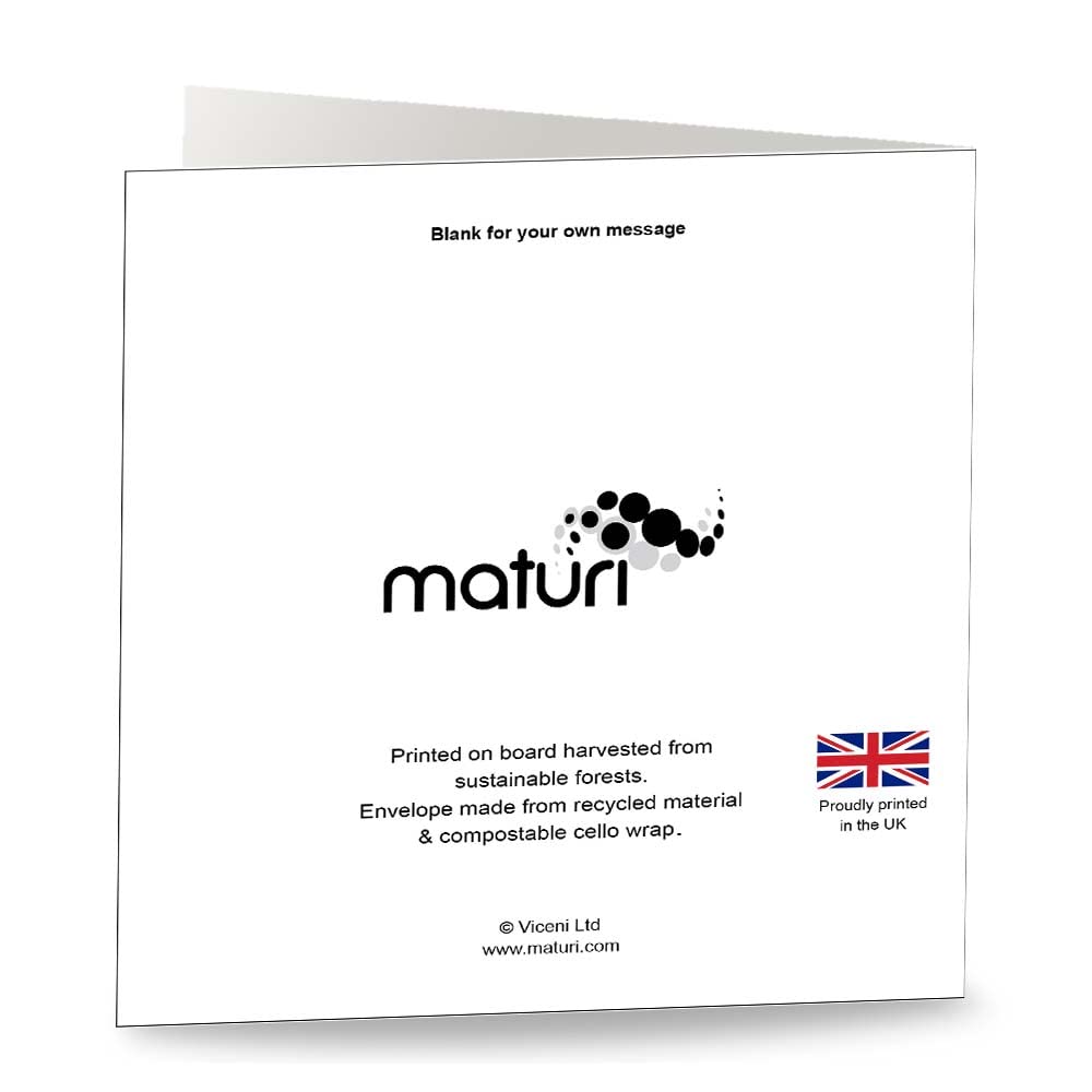 Maturi '12 Today. Have A Rawrsome Birthday' Dinosaur Greetings Card - Blank Inside, 6” x 6” Square