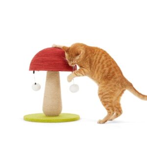 EveryYay Toadstool Scratch Post for Cats