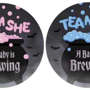 Baby is Brewing Halloween Gender Reveal Party - Bubbling Witch Cauldron Team He or Team She - 40 Stickers