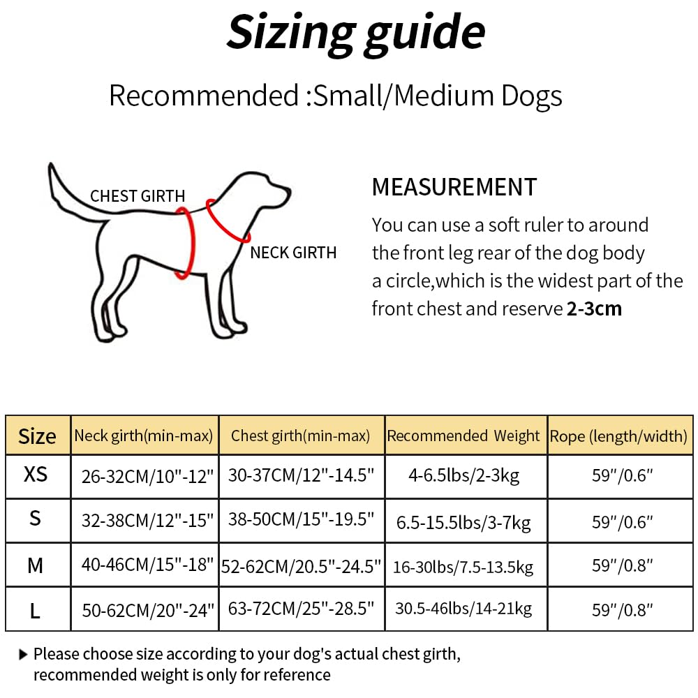 SAEGYPET Dog Harness with Leash Set, No Pull Reflective Strips Adjustable Step in Dog Collars Harness with Breathable Padded Vest Harness for Small Large Dogs Training and Running (S, Gray)