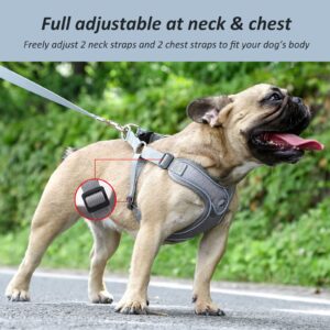 SAEGYPET Dog Harness with Leash Set, No Pull Reflective Strips Adjustable Step in Dog Collars Harness with Breathable Padded Vest Harness for Small Large Dogs Training and Running (S, Gray)