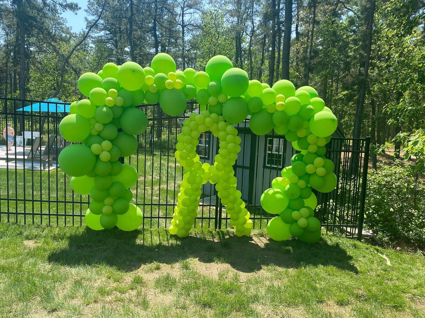 Lime Green Balloons 100pcs Green Balloon Garland Arch Kit 5/10/12/18 Inch Different Sizes Lime Green Matte Latex Balloon for Birthday Dinosaur Baby Shower Decorations Halloween Balloon Fruit Green