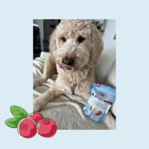 Exclusively Dog Collagen + Superfood Chew USA-sourced, Grass-Fed Beef Hide with Dried Cranberries Natural Dental, Joint Skin & Coat Support