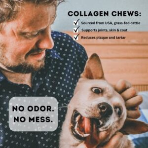 Exclusively Dog Collagen + Superfood Chew USA-sourced, Grass-Fed Beef Hide with Dried Cranberries Natural Dental, Joint Skin & Coat Support