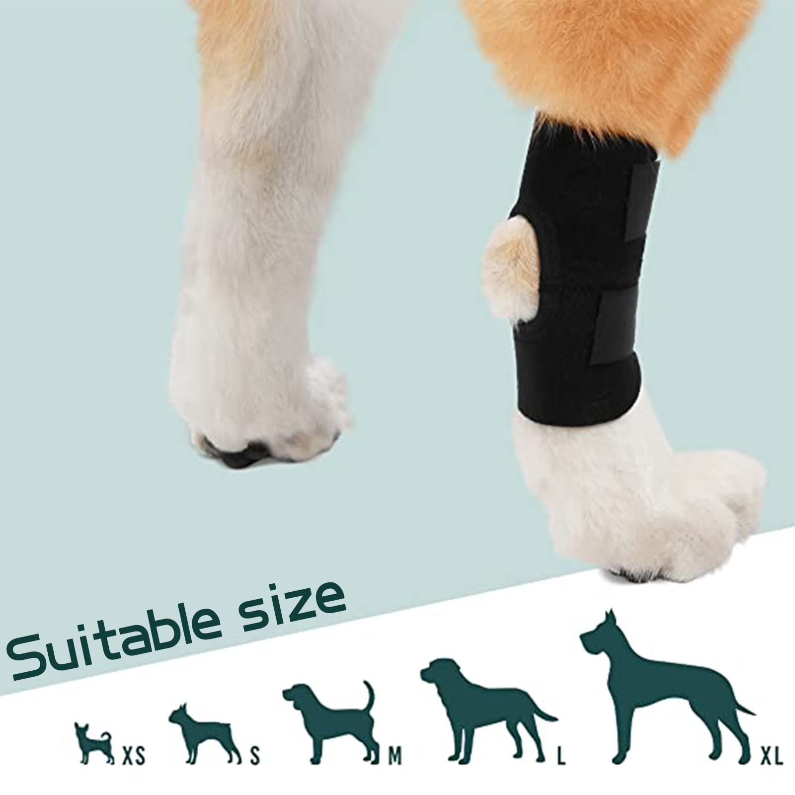 Dog Leg Brace for Small or Short Legs Canine Rear Hock Support, Helps Promote Healing and Prevents Injuries and Sprains Helps with Loss of Stability Caused by Arthritis