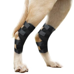 dog leg brace for small or short legs canine rear hock support, helps promote healing and prevents injuries and sprains helps with loss of stability caused by arthritis