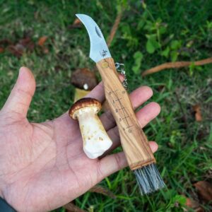 SENBON Outdoor Foldable Mushroom Knife Gardening Knife Portable Foraging Knife Fruit Picking Knife Natural Olive Wood Handle,2-Piece