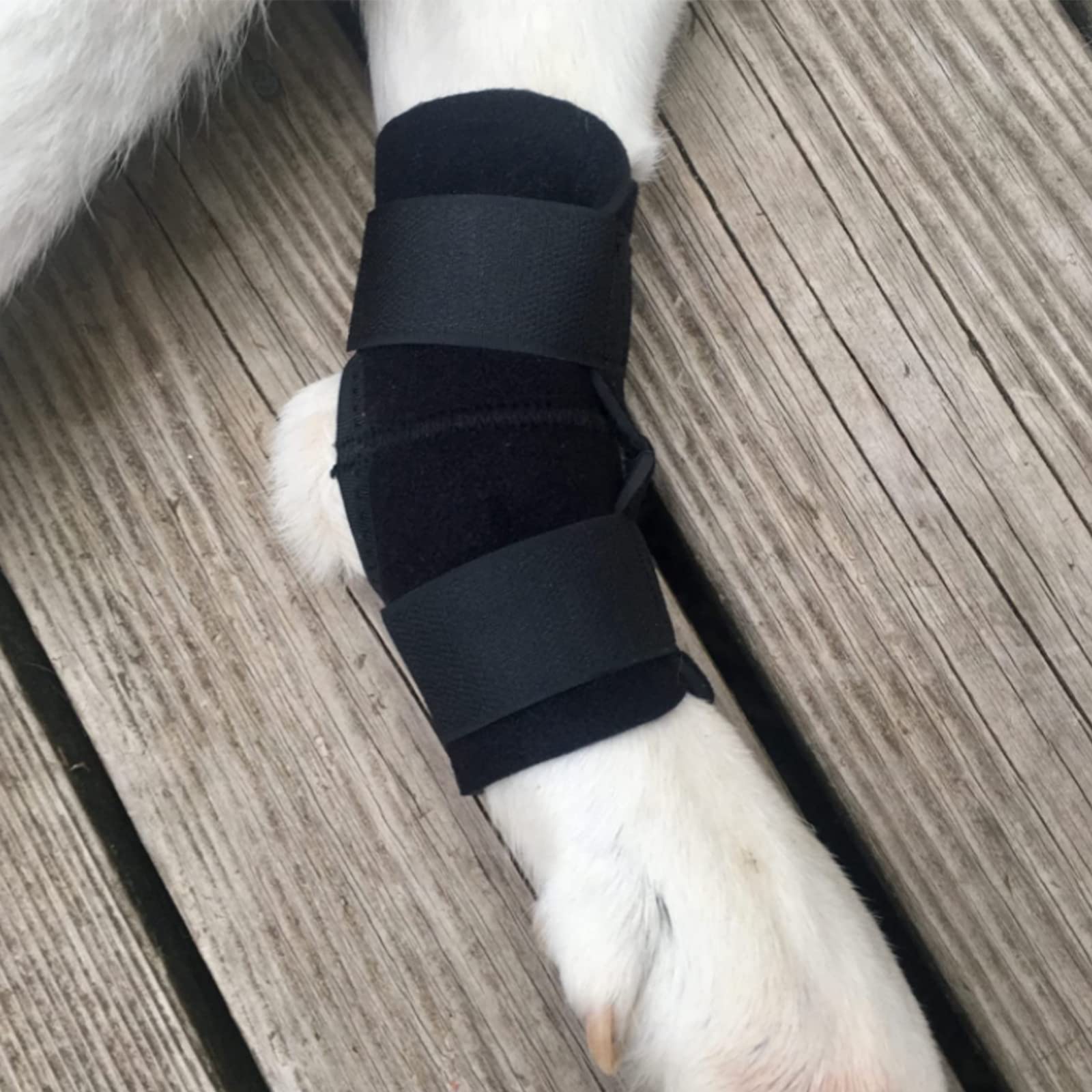 Dog Leg Brace for Small or Short Legs Canine Rear Hock Support, Helps Promote Healing and Prevents Injuries and Sprains Helps with Loss of Stability Caused by Arthritis