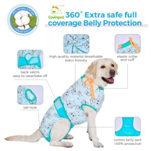 LovinPet Dog Cone Alternative After Surgery - Surgical Suit for Dogs Female Female & Male Anti-Licking Protection Full Body Coverage for Anti-Shedding