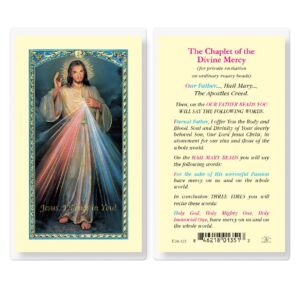 chaplet of divine mercy laminated holy cards, 25-count value pack