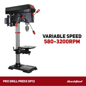 BUCKTOOL 12 INCH 6.2A Professional Bench Drill Press, 3/4HP Powerful Benchtop Drill Press, Variable Speed Drill Press with IIIA Laser and Work Light