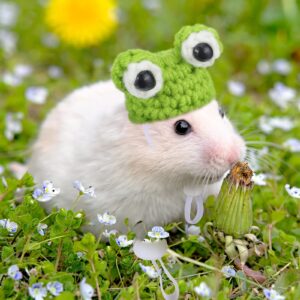 4 Pieces Hamster Hat Mini Small Animals Hat with Adjustable Strap Lovely Hand Knitted Frog Rainbow Carrot Tiny Hats for Lizard Guinea Pig Reptile Christmas Holiday Party Clothes Costume Accessories