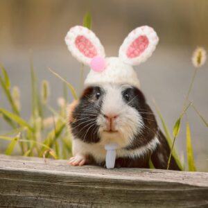 4 Pieces Hamster Hat Mini Small Animals Hat with Adjustable Strap Lovely Hand Knitted Frog Rainbow Carrot Tiny Hats for Lizard Guinea Pig Reptile Christmas Holiday Party Clothes Costume Accessories