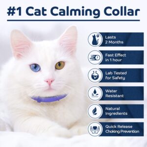 2 Natural Calming & Relaxing Collars for Cats, Reduces Anxiety, Adjustable Size, Fits All Cats, Each Lasts Up to 60 Days. 2 Units per Set. by TrioGato (Two)