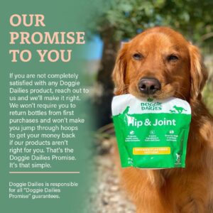 Doggie Dailies Glucosamine for Dogs - 120 Chews - Joint Supplement for Dogs of All Breeds & Sizes - Hip and Joint Supplement for Dogs - Premium Glucosamine and Chondroitin for Dogs (Chicken)