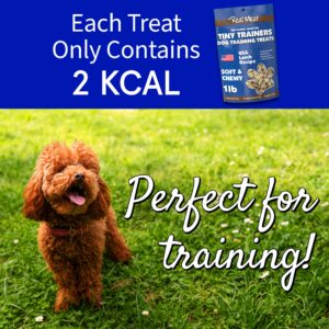 Real Meat Tiny Trainer Bites Dog Treats - 1lb of USA-Made Soft & Chewy Air-Dried Lamb Training Treats for Dogs & Puppies - All-Natural Grain-Free Dog Training Treats with Free-Range Grass-Fed Lamb