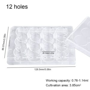 ADAMAS-BETA 12-Well Sterile Culture Plate, TC Treated Cell Culture Plates Tissue Culture Treated Plate, Individually Wrapped, Pack of 10