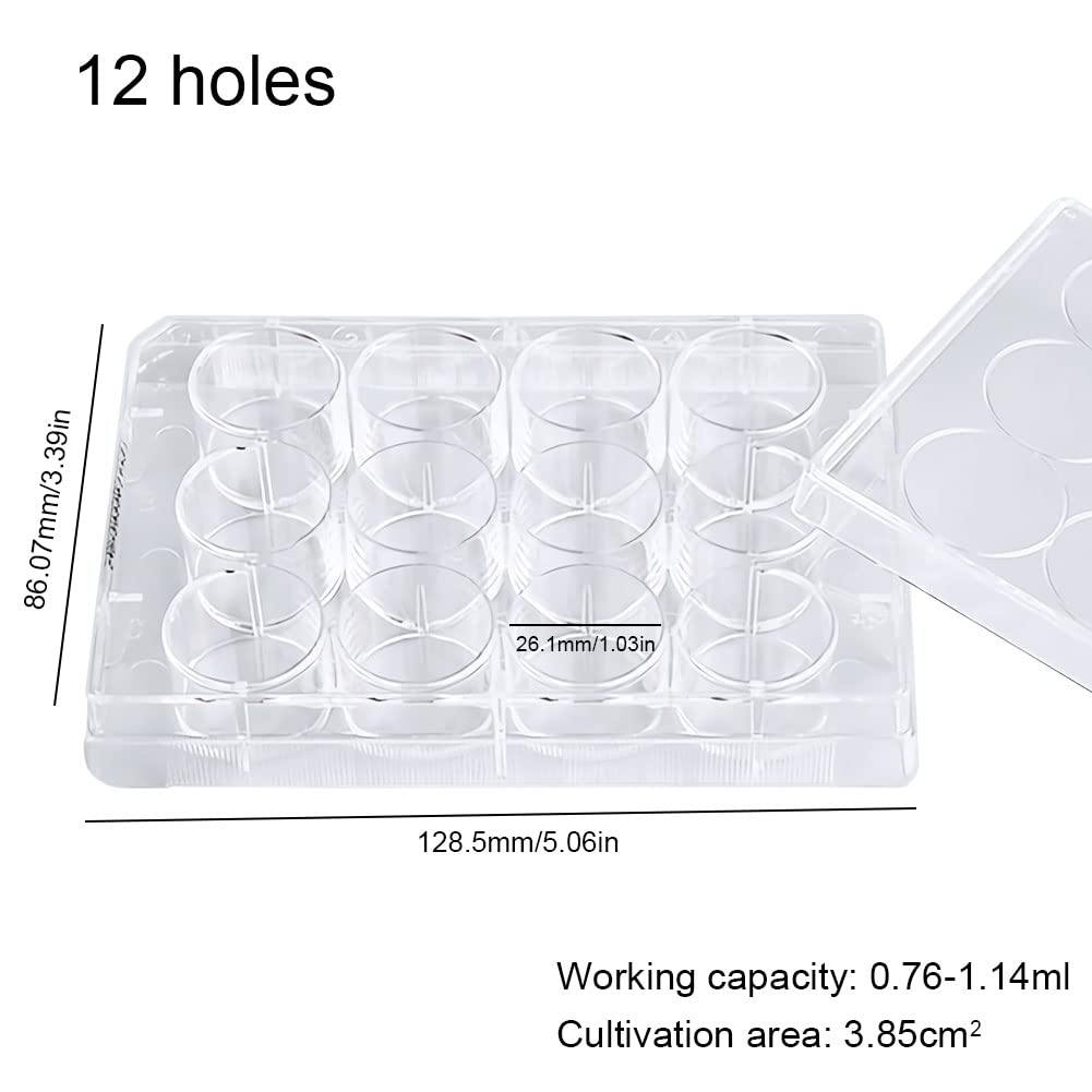 ADAMAS-BETA 12-Well Sterile Culture Plate, TC Treated Cell Culture Plates Tissue Culture Treated Plate, Individually Wrapped, Pack of 10