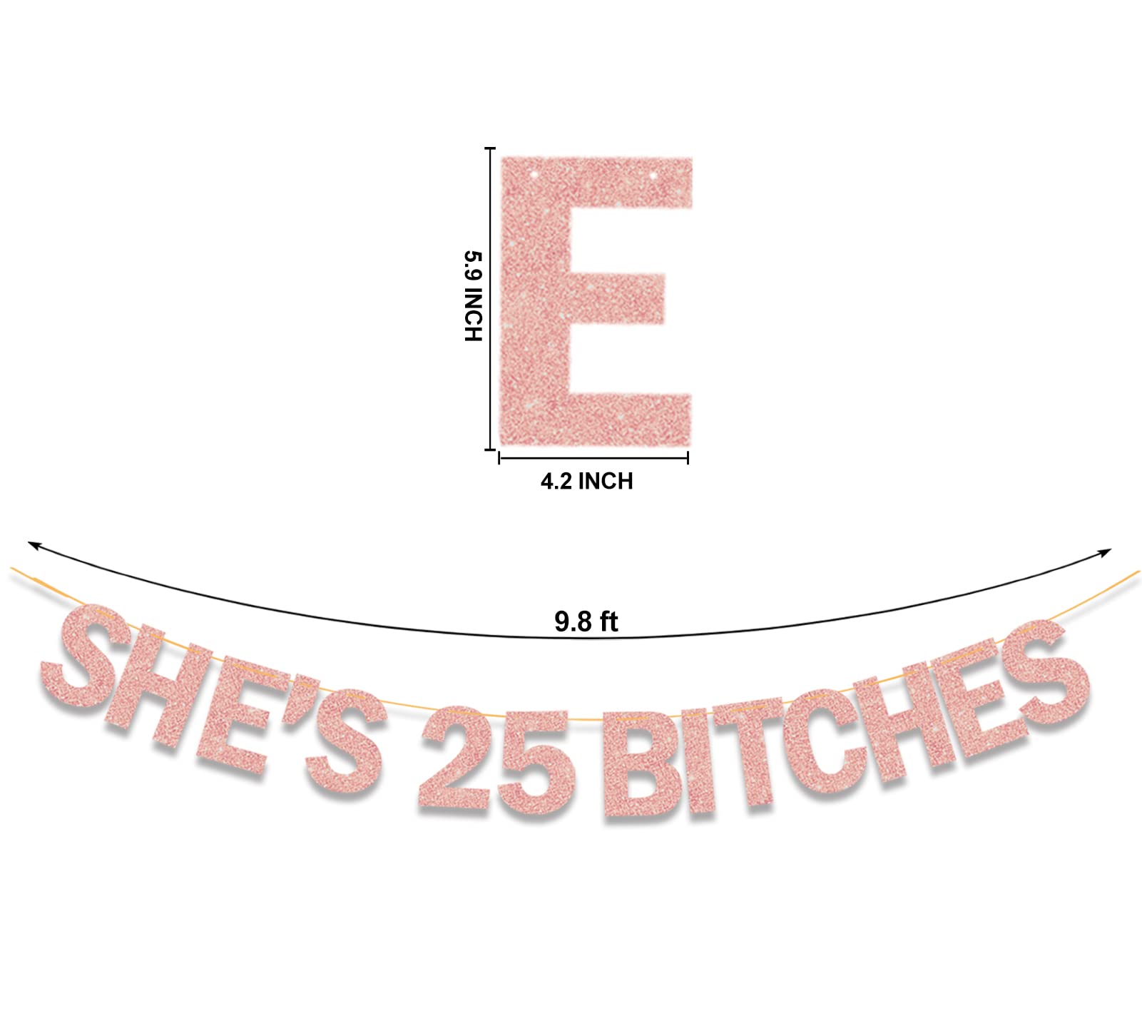 Ushinemi She's 25 Bitches Banner 25th Birthday Decorations for Women, Funny Glitter Rose Gold Birthday Banner 18 Birthday Party Supplies