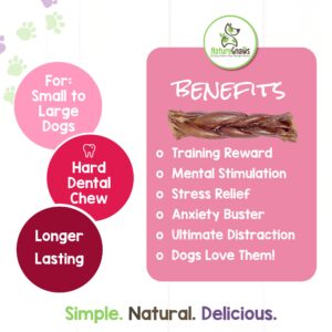 Nature Gnaws Braided Pork Jerky Sticks for Dogs - Premium Natural Dog Chew Treats - Rawhide Free Dental Bones - Long Lasting Training Reward Treat