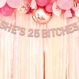 Ushinemi She's 25 Bitches Banner 25th Birthday Decorations for Women, Funny Glitter Rose Gold Birthday Banner 18 Birthday Party Supplies