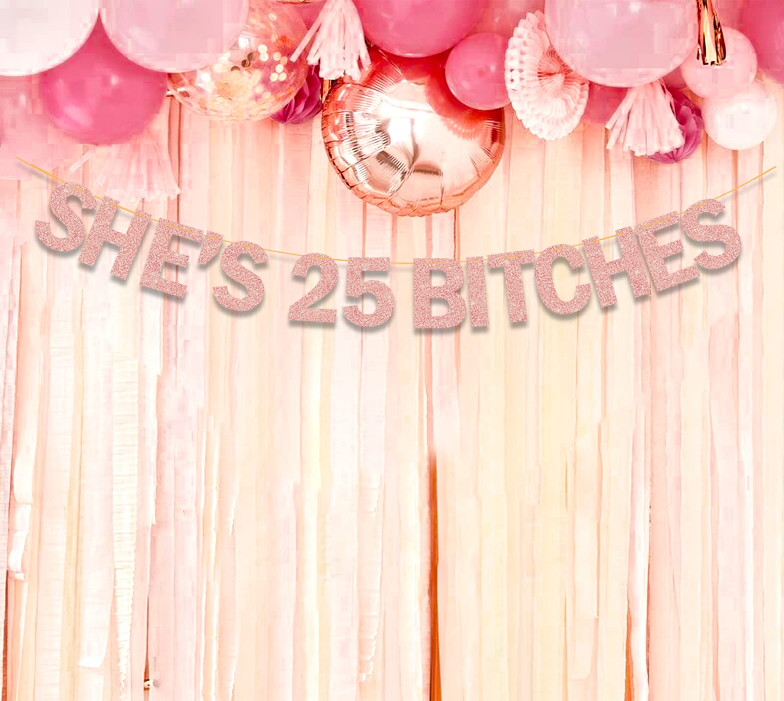 Ushinemi She's 25 Bitches Banner 25th Birthday Decorations for Women, Funny Glitter Rose Gold Birthday Banner 18 Birthday Party Supplies