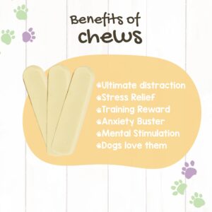 Nature Gnaws American Cheese Chews for Dogs - Long Lasting Hard Chew Treats - Rawhide Free Dog Bones - Yak Alternative - Made in The USA