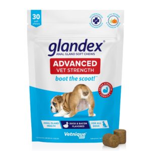 glandex anal gland soft chew treats with pumpkin for dogs digestive enzymes, probiotics fiber supplement for dogs boot the scoot (advanced strength duck/bacon chews (vegetarian), 30ct)