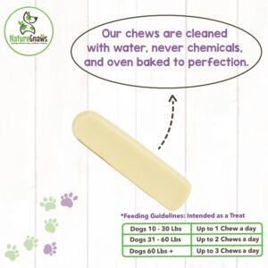 Nature Gnaws American Cheese Chews for Dogs - Long Lasting Hard Chew Treats - Rawhide Free Dog Bones - Yak Alternative - Made in The USA