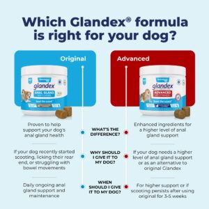 Glandex Anal Gland Soft Chew Treats with Pumpkin for Dogs Digestive Enzymes, Probiotics Fiber Supplement for Dogs Boot The Scoot (Advanced Strength Duck/Bacon Chews (Vegetarian), 30ct)