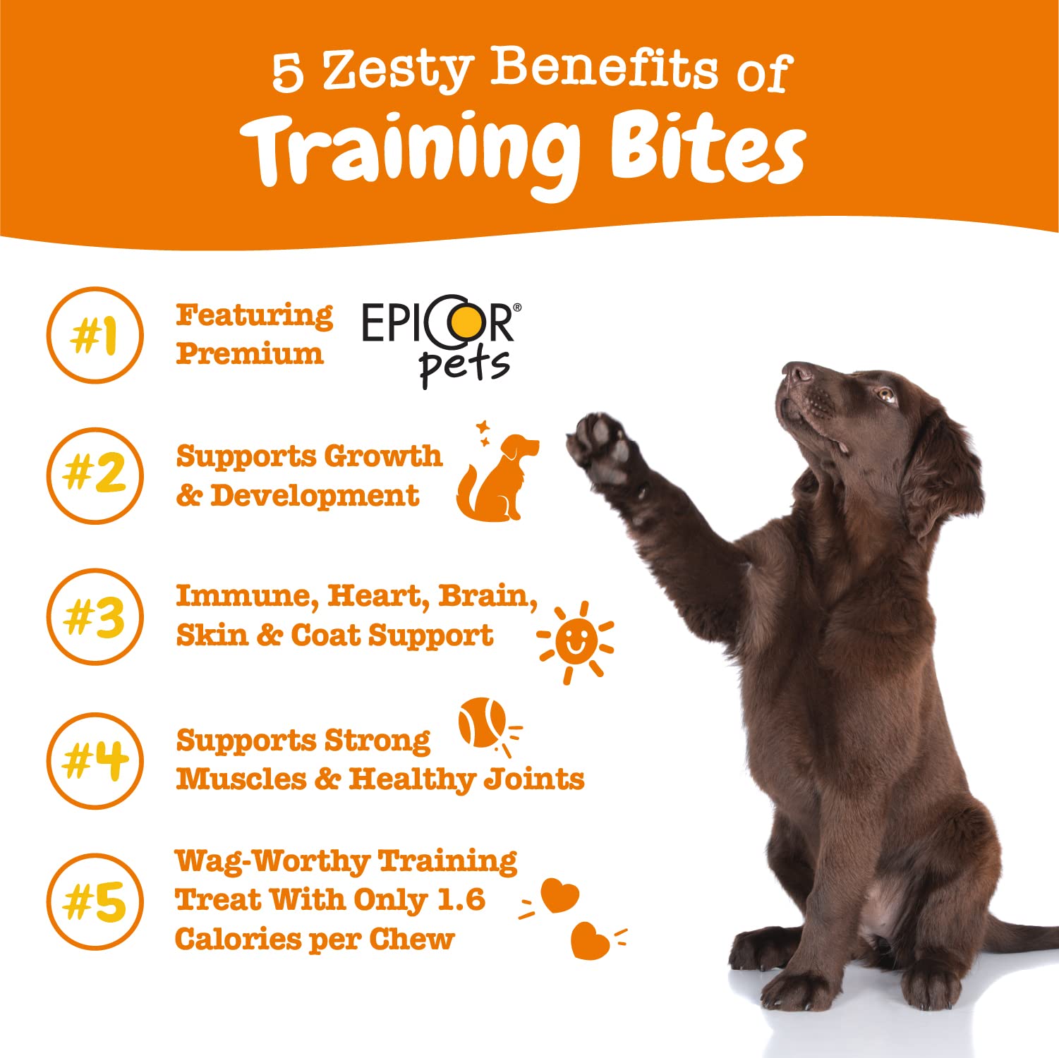 Zesty Paws Training Treats for Dogs & Puppies - Healthy Dog Treats for Hip, Joint & Muscle Health - Puppy Training Treats - for All Breeds and Ages - Dog Treats for Training - Bacon Flavor – 8oz