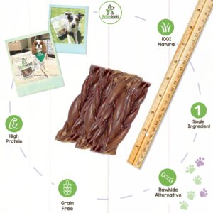 Nature Gnaws Braided Pork Jerky Sticks for Dogs - Premium Natural Dog Chew Treats - Rawhide Free Dental Bones - Long Lasting Training Reward Treat