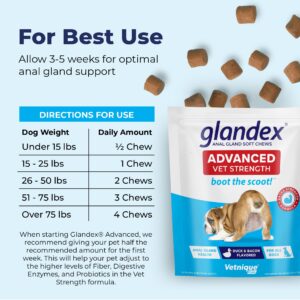 Glandex Anal Gland Soft Chew Treats with Pumpkin for Dogs Digestive Enzymes, Probiotics Fiber Supplement for Dogs Boot The Scoot (Advanced Strength Duck/Bacon Chews (Vegetarian), 30ct)