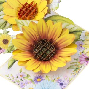 TRUANCE Pop Up Greeting Card Sunflowers- 3D Cards For Birthday, Anniversary, Mothers Day, Thank You Cards, Card for Mom, Congratulation Card, Love Card, All Occasion