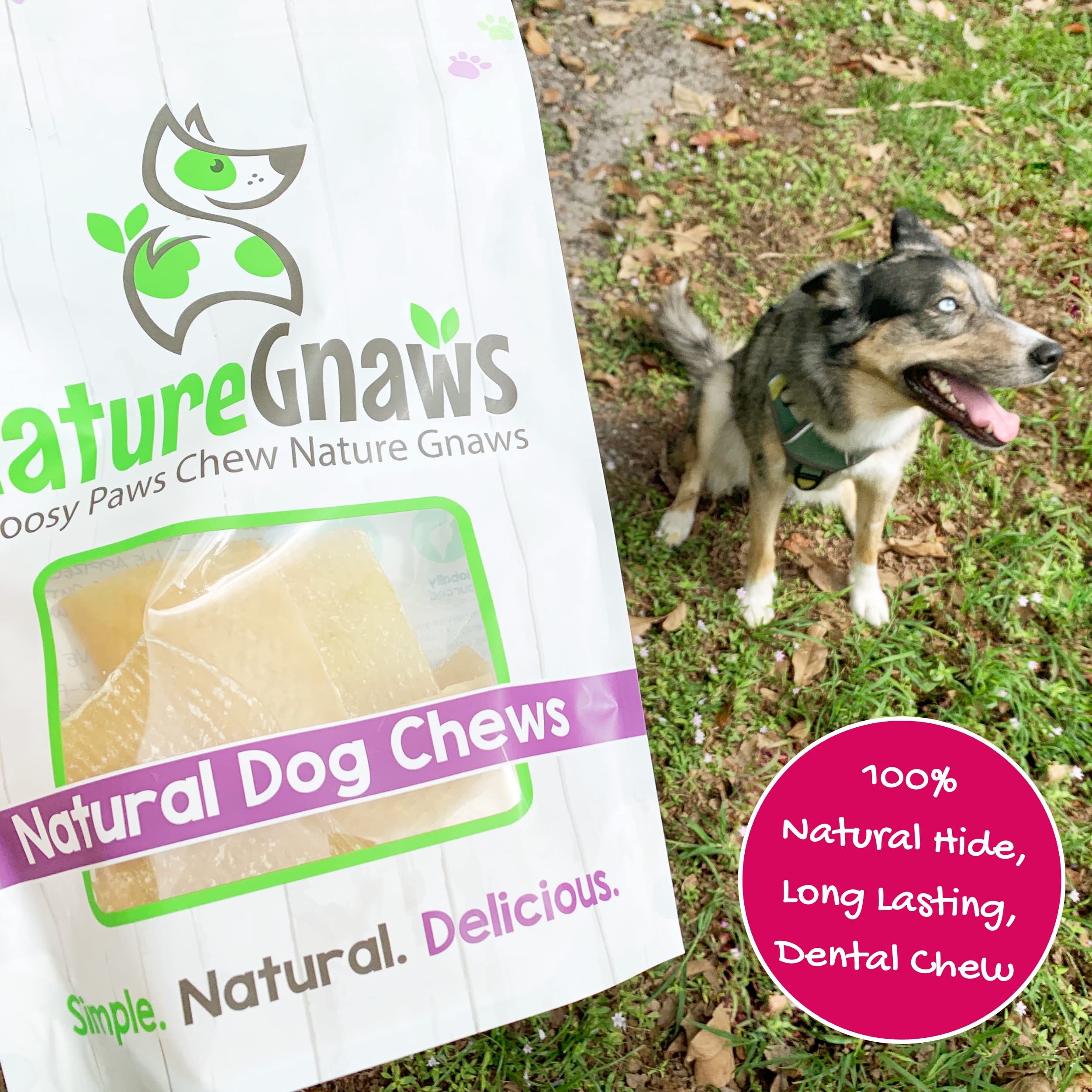 Nature Gnaws Pork Skin Chews for Dogs - Premium Natural Tasty Jerky Treats - Long Lasting Dog Chew Bones - Rawhide Free