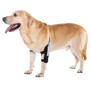 yrenoer dog elbow brace for treat acl ccl, front leg brace wrap with metal spring strips for dogs with osteoarthritis, limping from joint pain, keeps the joint warm and stable (m_right)