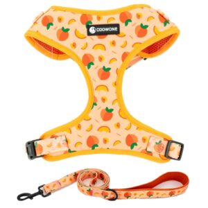 dog harness and leash set, adjustable dog harness, dog leash, no pull no choke puppy harnesses for walking training for small, medium, large pet