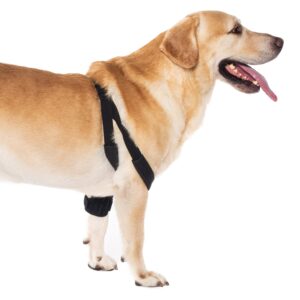 yrenoer Dog Elbow Brace for Treat ACL CCL, Front Leg Brace Wrap with Metal Spring Strips for Dogs with osteoarthritis, limping from Joint Pain, Keeps The Joint Warm and Stable (M_Right)