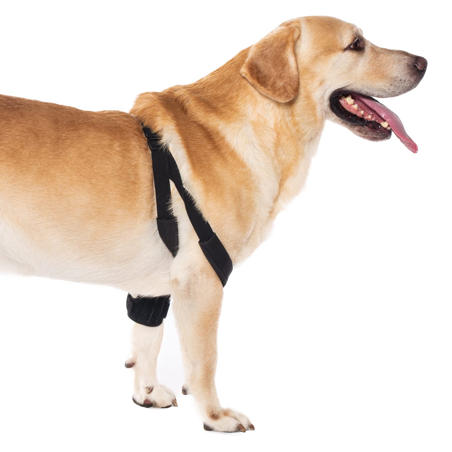 yrenoer Dog Elbow Brace for Treat ACL CCL, Front Leg Brace Wrap with Metal Spring Strips for Dogs with osteoarthritis, limping from Joint Pain, Keeps The Joint Warm and Stable (M_Right)