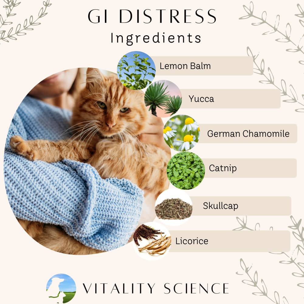 Vitality Science GI Distress for Cats | Diarrhea, Vomiting and Discomfort | Aids Digestion and Reduces Bloating | Boosts GI Tract