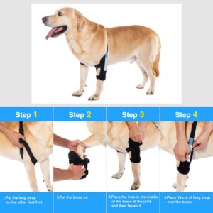 yrenoer Dog Elbow Brace for Treat ACL CCL, Front Leg Brace Wrap with Metal Spring Strips for Dogs with osteoarthritis, limping from Joint Pain, Keeps The Joint Warm and Stable (M_Right)