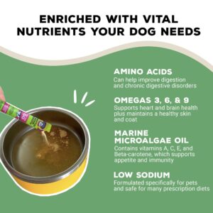 Brutus Broth Instant On The Go Vegetable Powder for Dogs - Vegetable Powder with Omegas 3, 6 & 9 & Turmeric - Human Grade Dog Food Toppers for Dry Food & Picky Eaters - 10 Stick (Salmon Flavor)