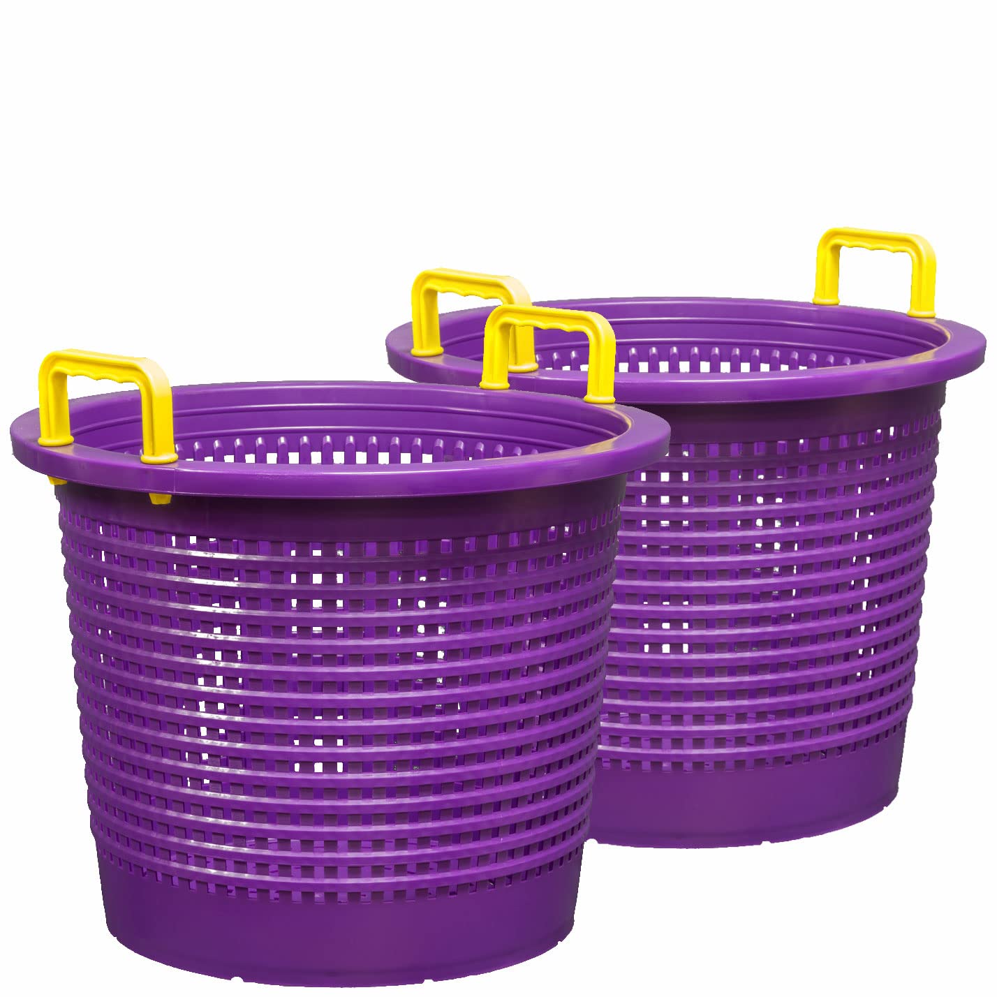 Large, Super Heavy Duty Fish Baskets. Purple with Yellow Handles. Made in USA. 2-Pack.