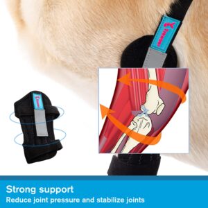 yrenoer Dog Elbow Brace for Treat ACL CCL, Front Leg Brace Wrap with Metal Spring Strips for Dogs with osteoarthritis, limping from Joint Pain, Keeps The Joint Warm and Stable (M_Right)