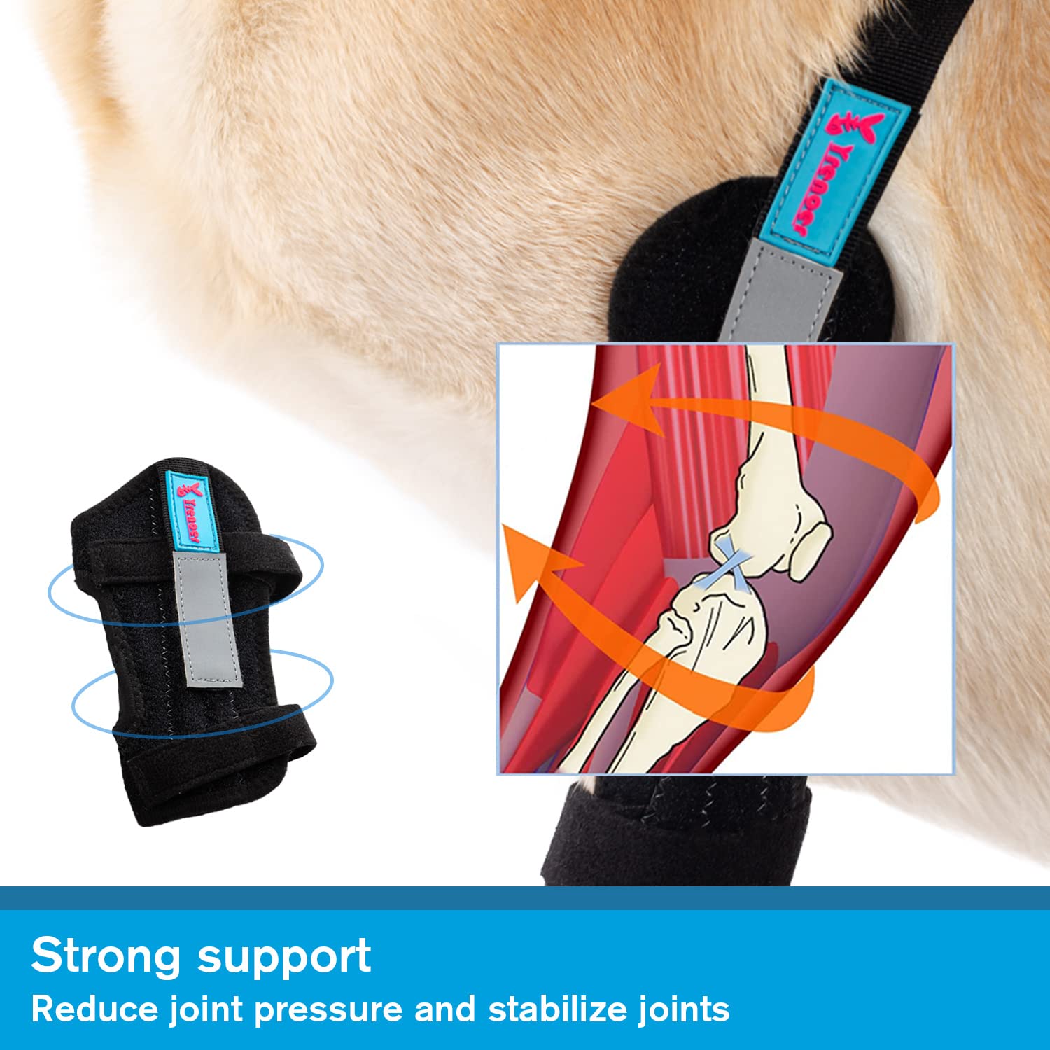 yrenoer Dog Elbow Brace for Treat ACL CCL, Front Leg Brace Wrap with Metal Spring Strips for Dogs with osteoarthritis, limping from Joint Pain, Keeps The Joint Warm and Stable (M_Right)