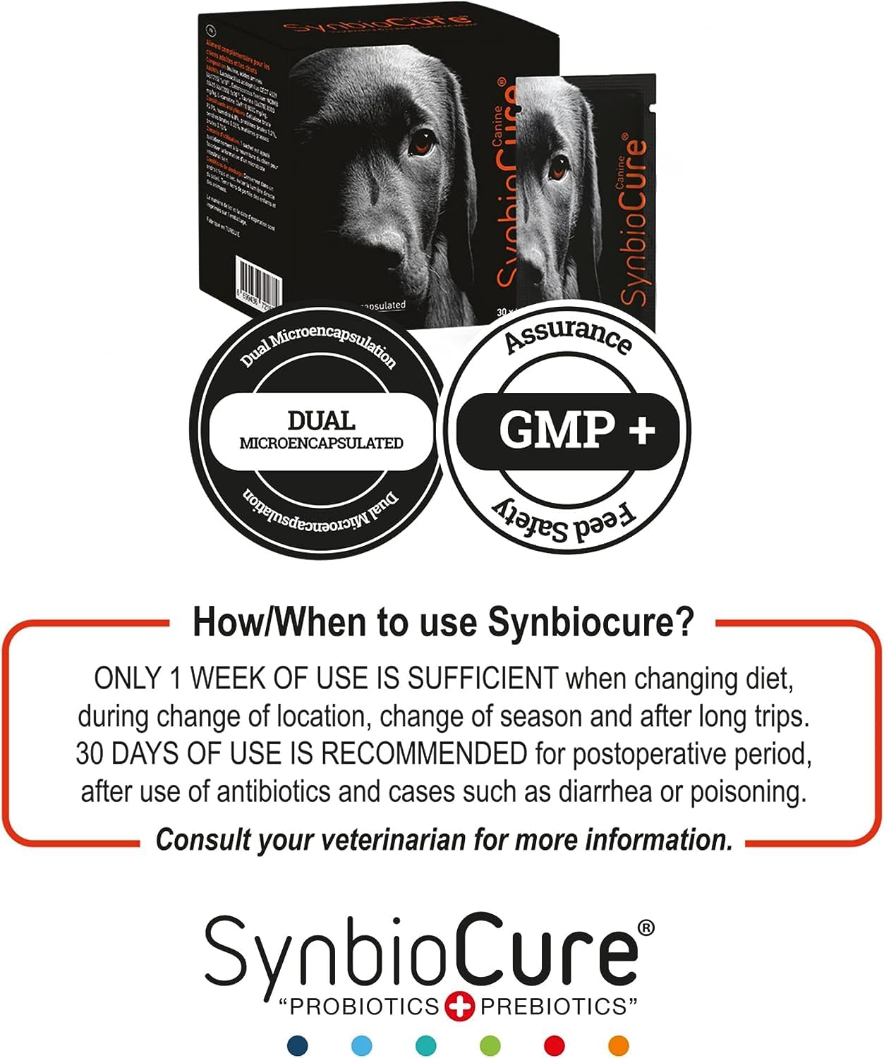 Synbiocure I Probiotics & Prebiotics for Dogs I Powder Dog Supplement I Digestive Health Support I 200 Billion Bacteria Per Sachet I 30 Sachets*2 g